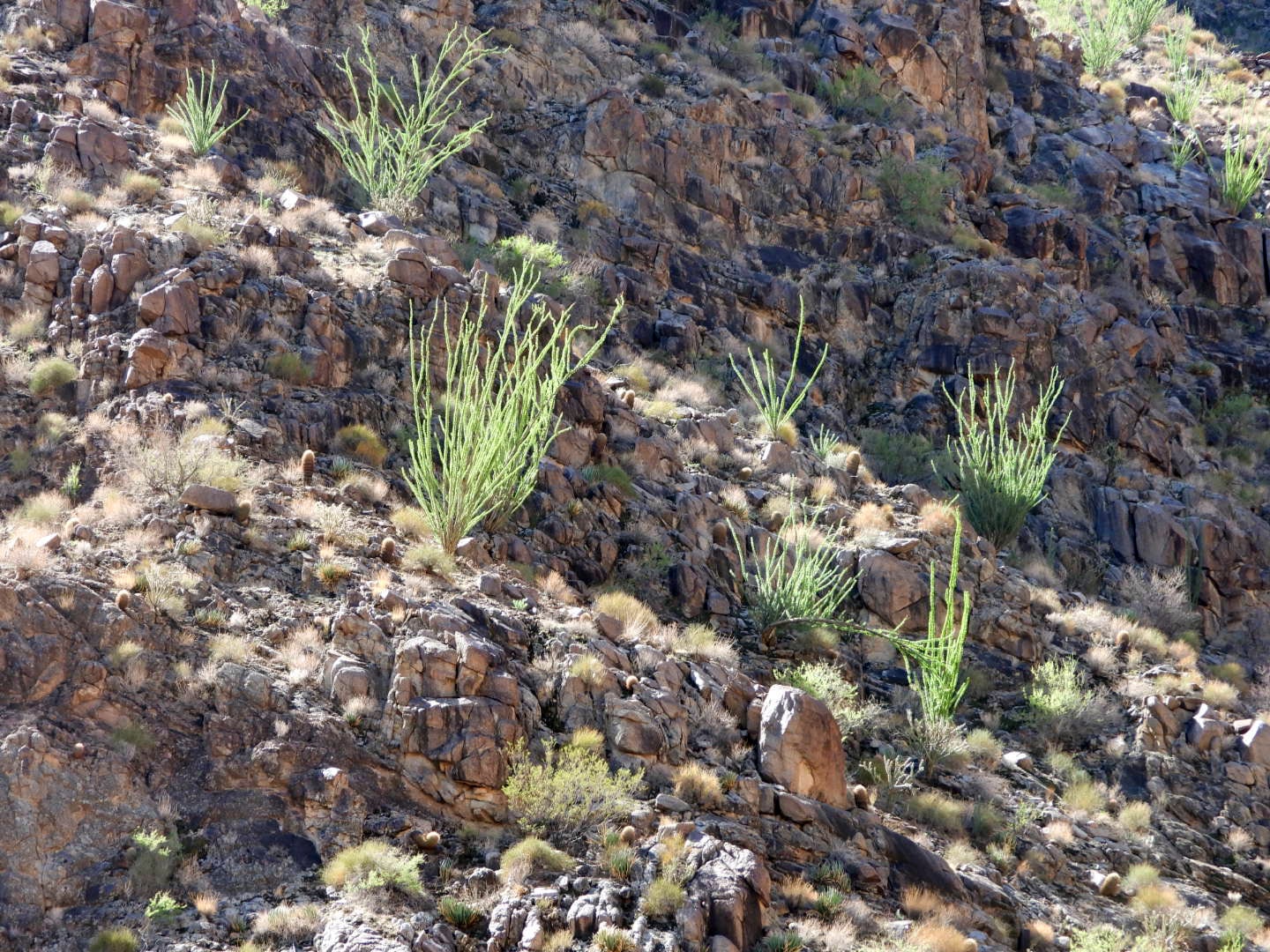 Grand Canyon Basin tour guests on the Colorado River shoreline