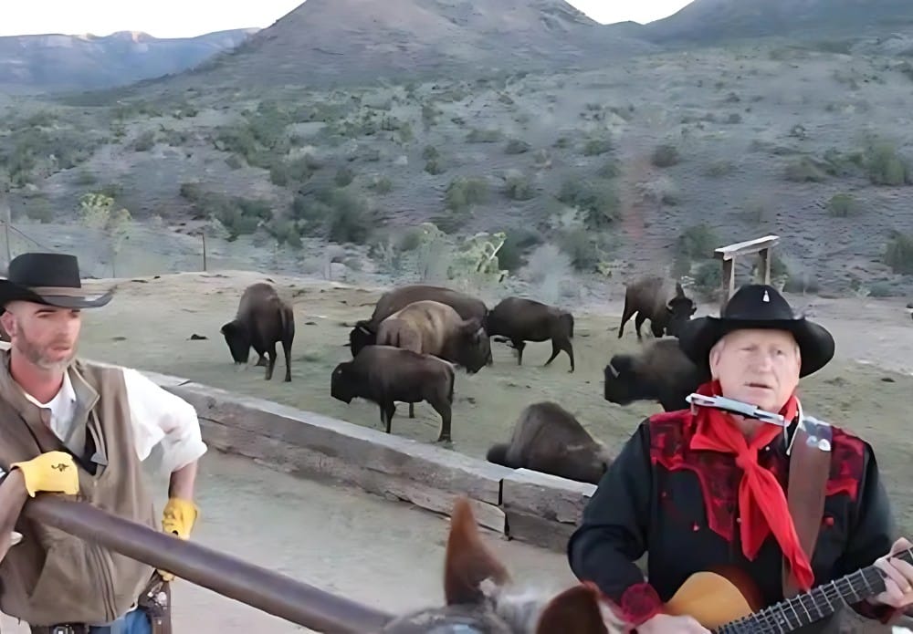 Live cowboy singing and entertainment at the ranch