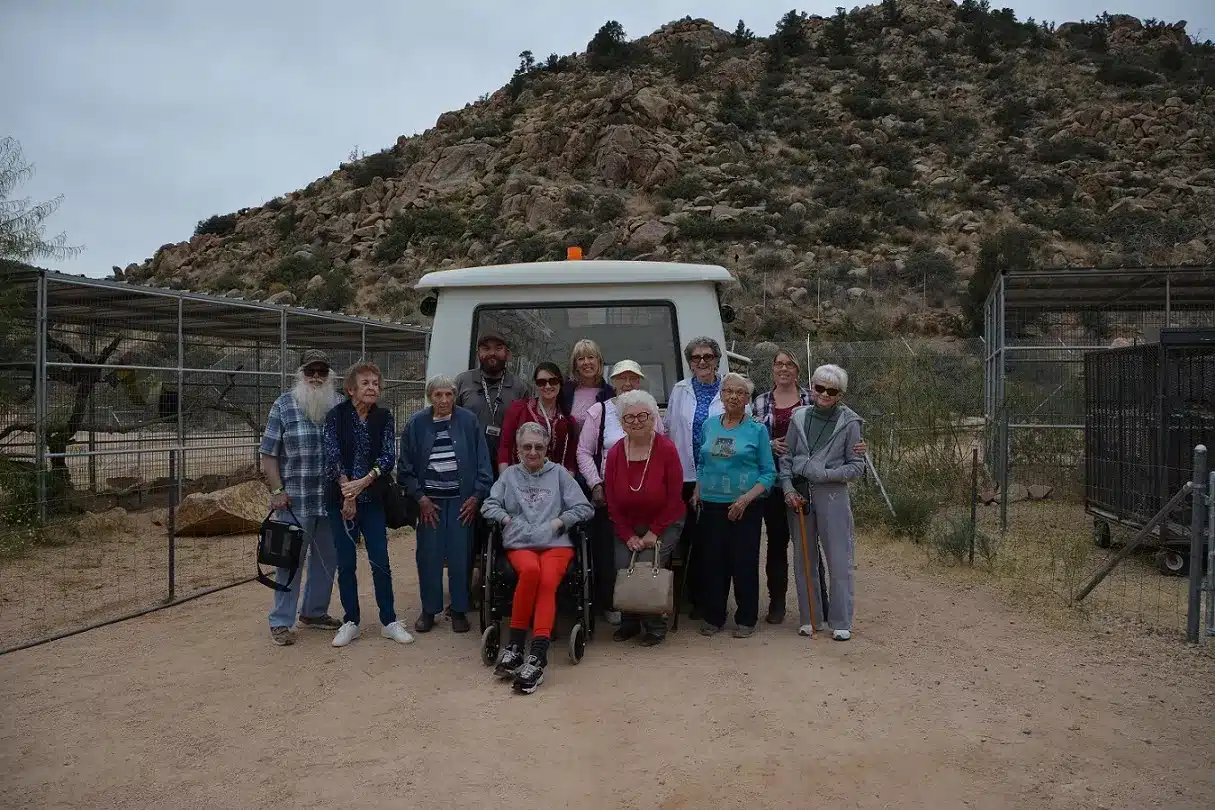 Bears and wolves at the Arizona big cat sanctuary