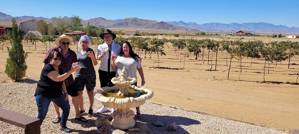 Guests enjoying wine and scenic desert views
